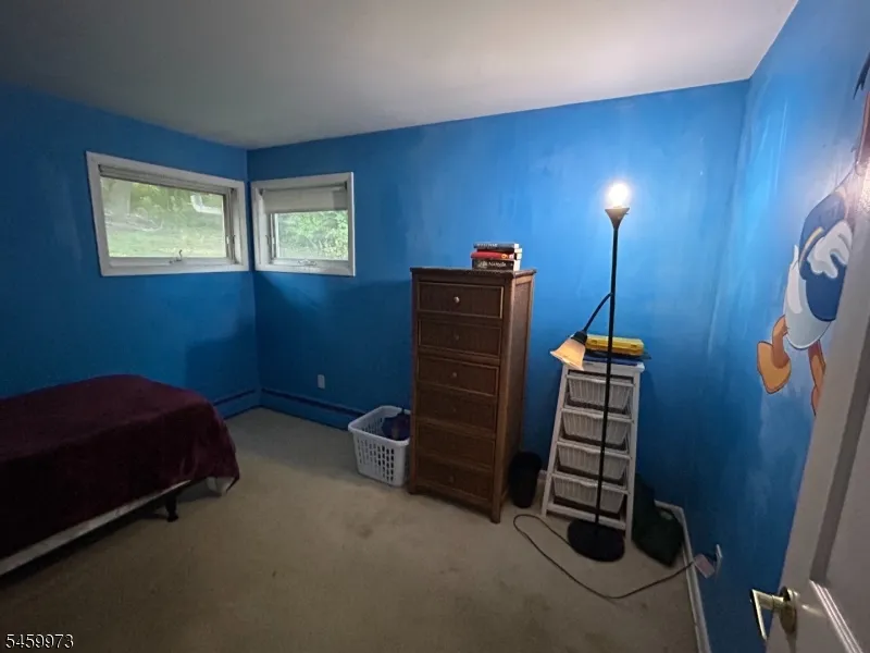 55 Hillside Dr Hamburg, NJ 07419