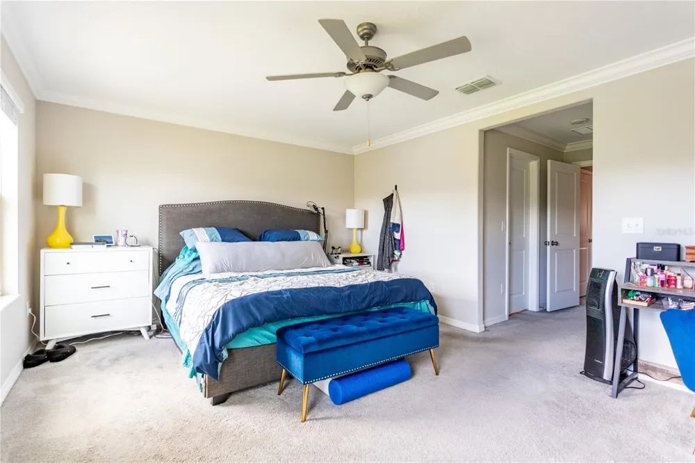 23265 WILLOW GLEN WAY Lutz, FL 33549