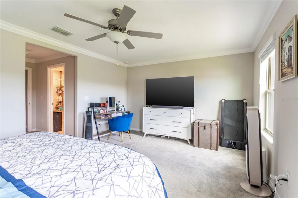 23265 WILLOW GLEN WAY Lutz, FL 33549
