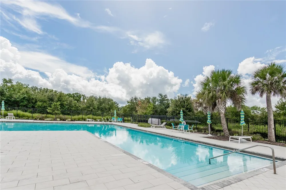 23265 WILLOW GLEN WAY Lutz, FL 33549