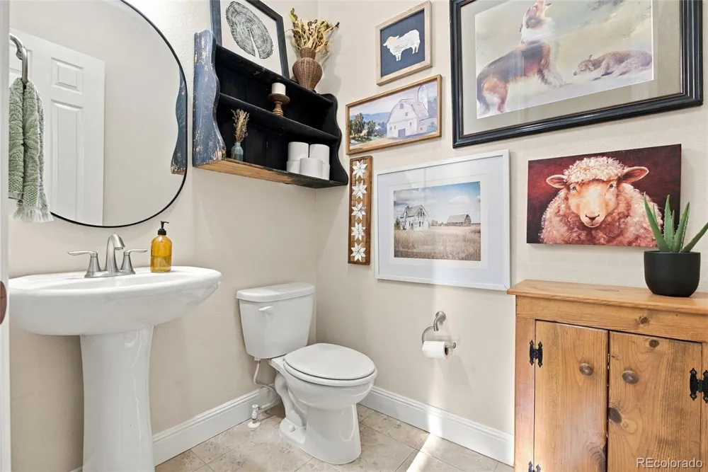 2831 Russet Sky Court Castle Rock, CO 80108