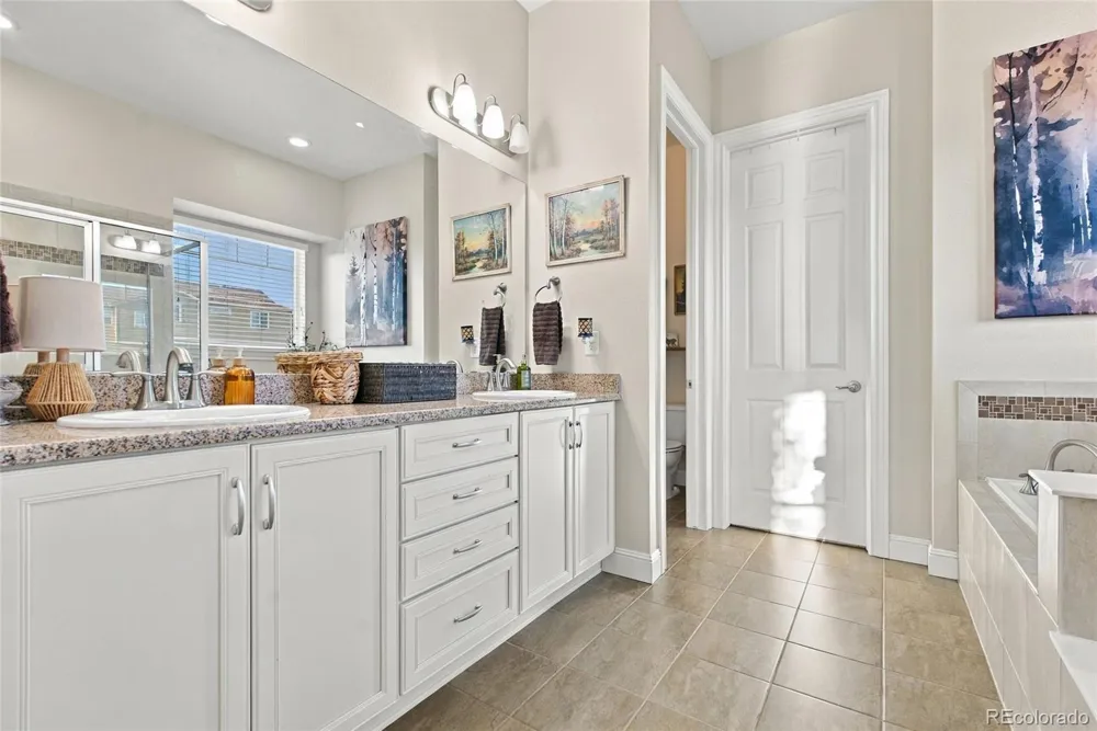 2831 Russet Sky Court Castle Rock, CO 80108
