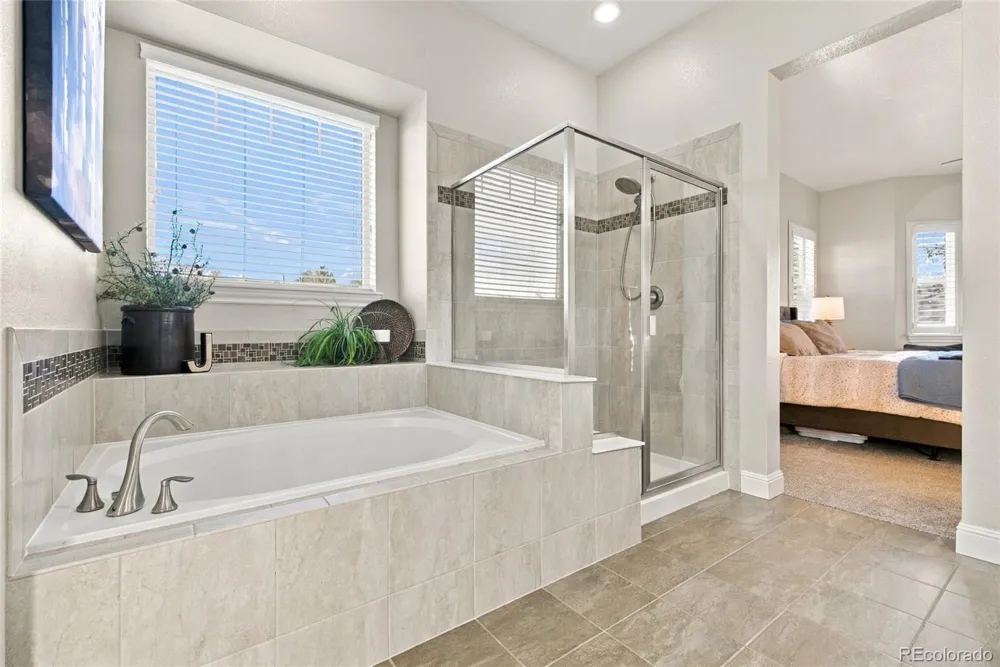 2831 Russet Sky Court Castle Rock, CO 80108