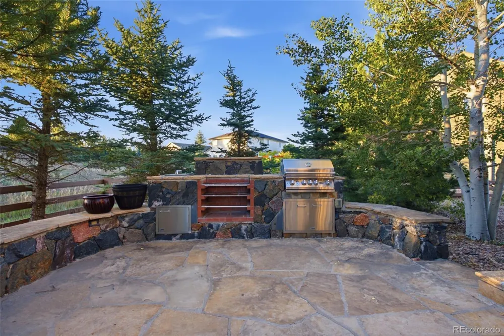2831 Russet Sky Court Castle Rock, CO 80108