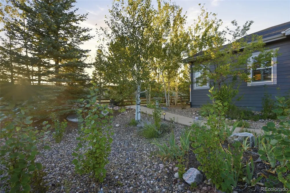 2831 Russet Sky Court Castle Rock, CO 80108