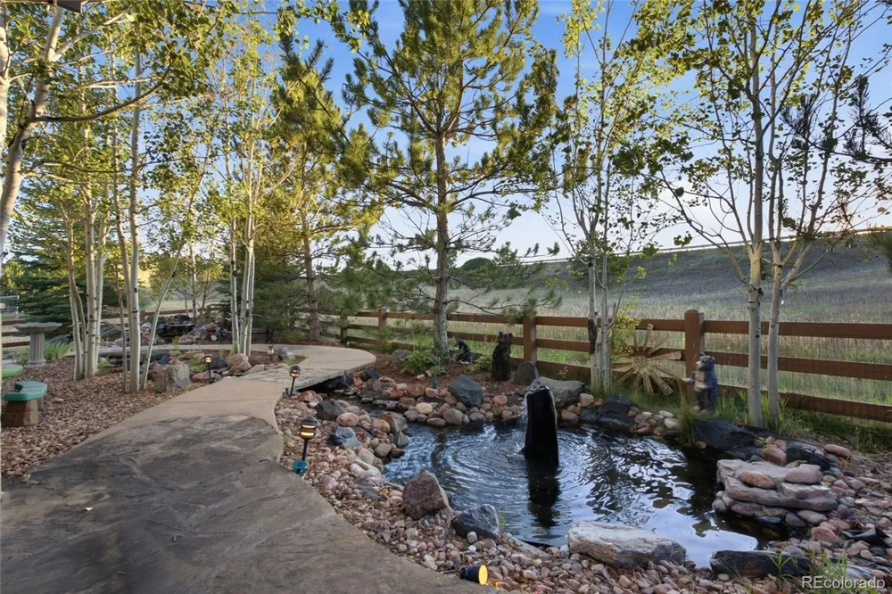 2831 Russet Sky Court Castle Rock, CO 80108