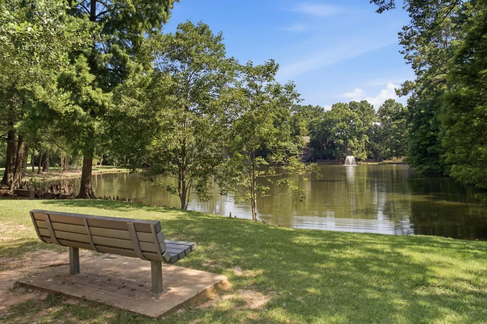 96 E Lakeridge Drive The Woodlands, TX 77381