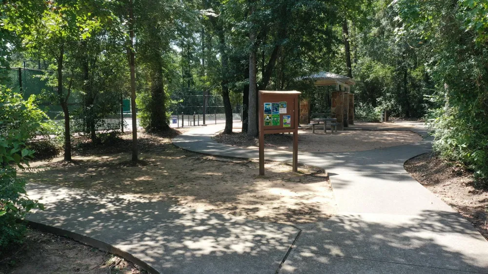 96 E Lakeridge Drive The Woodlands, TX 77381