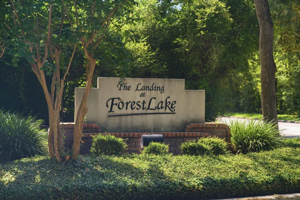 96 E Lakeridge Drive The Woodlands, TX 77381