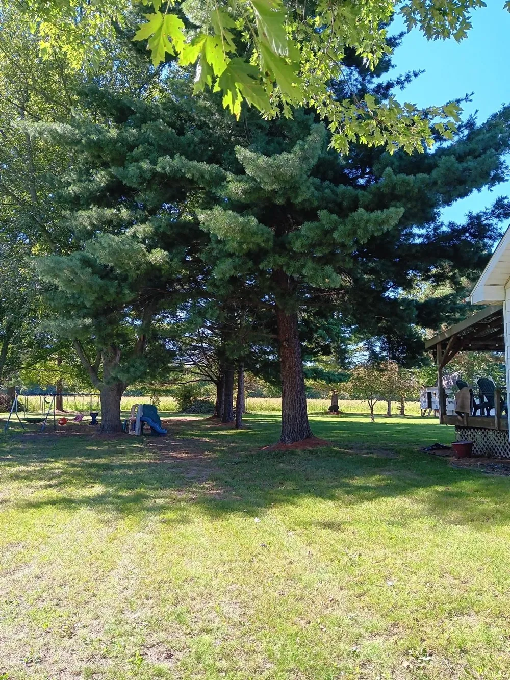 14053 Elms Road Montrose Charter Township, MI 48457