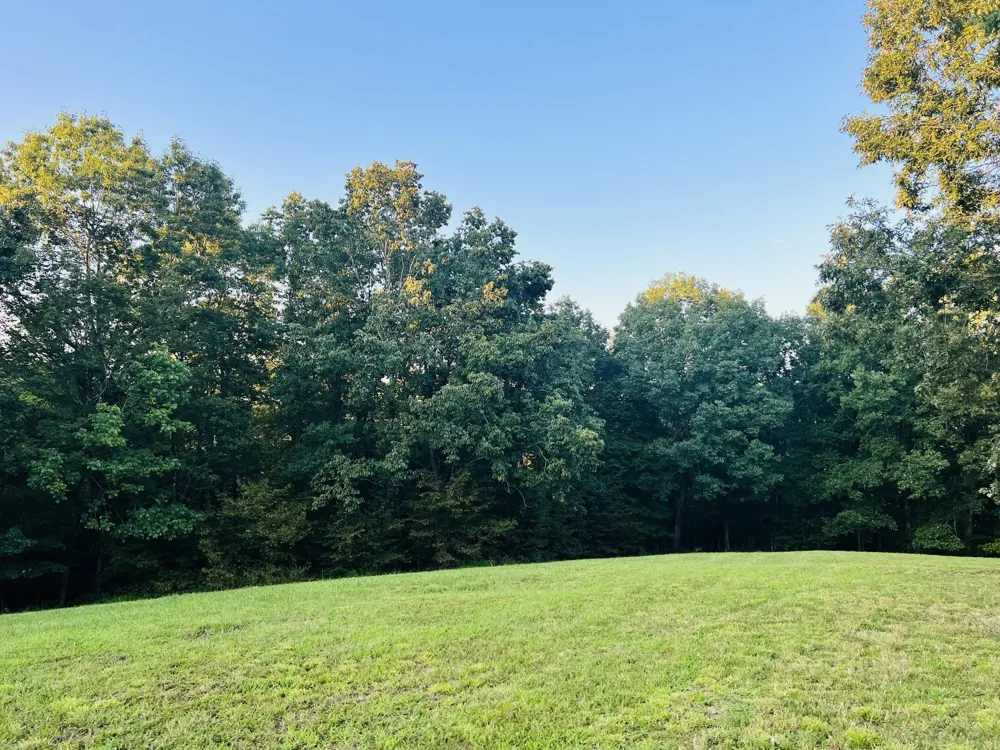 545 Deepwood Drive Waverly, TN 37185