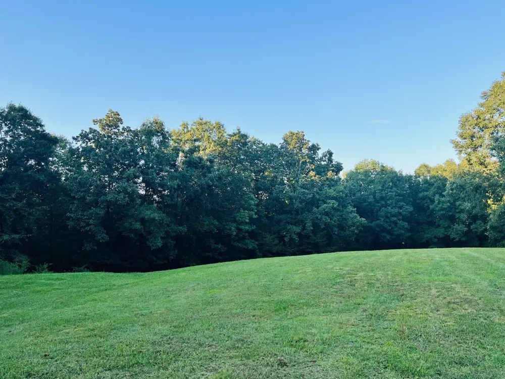 545 Deepwood Drive Waverly, TN 37185