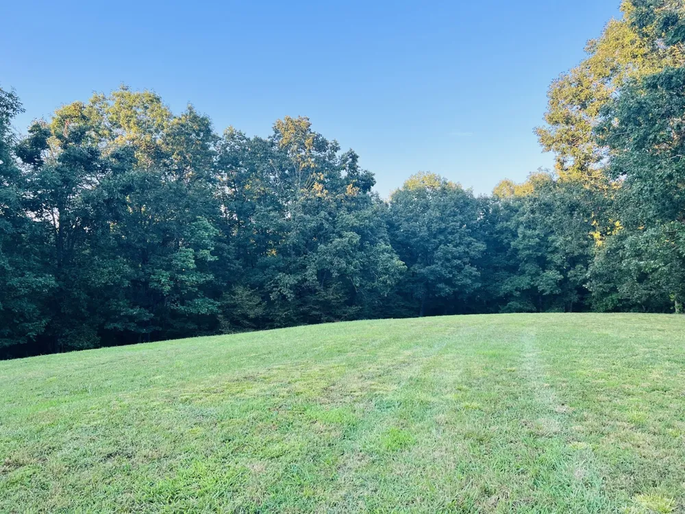 545 Deepwood Drive Waverly, TN 37185