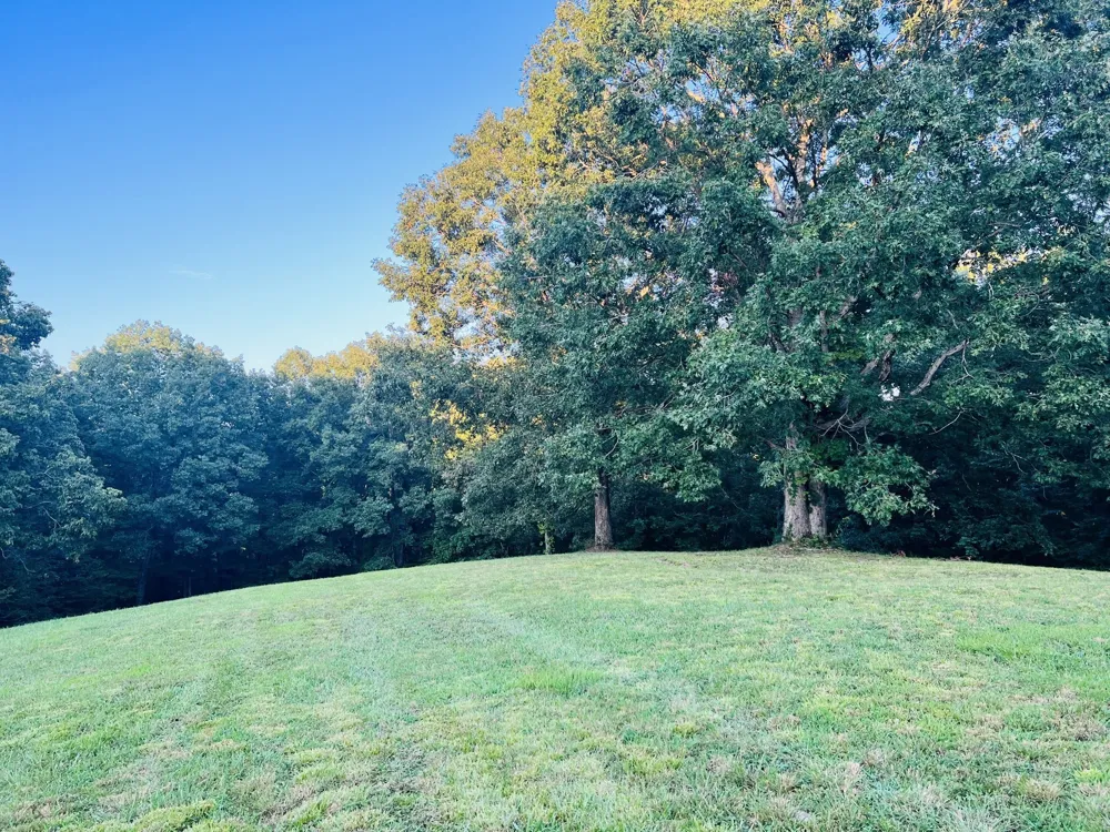 545 Deepwood Drive Waverly, TN 37185