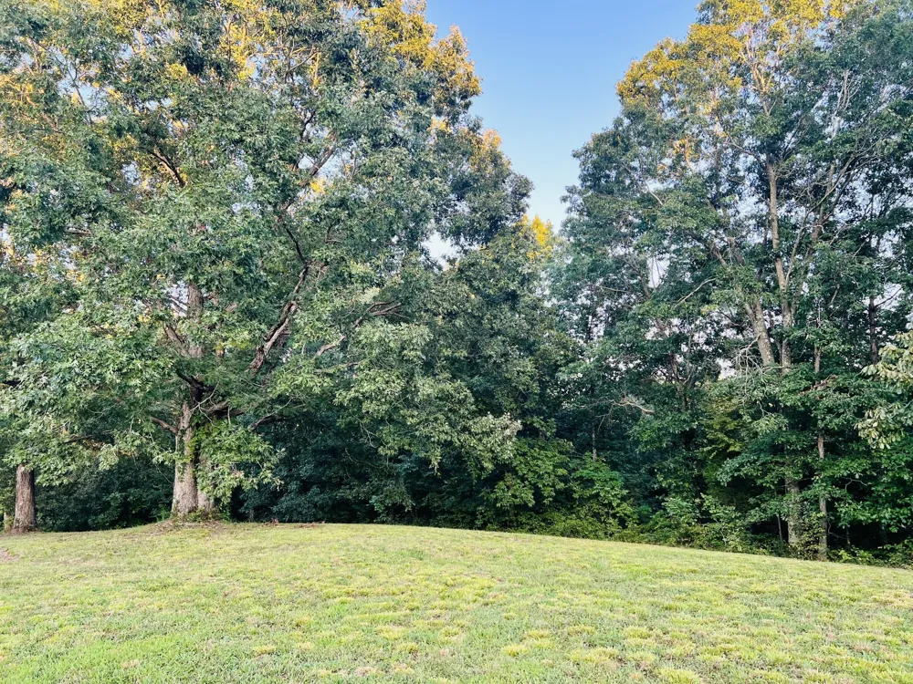 545 Deepwood Drive Waverly, TN 37185