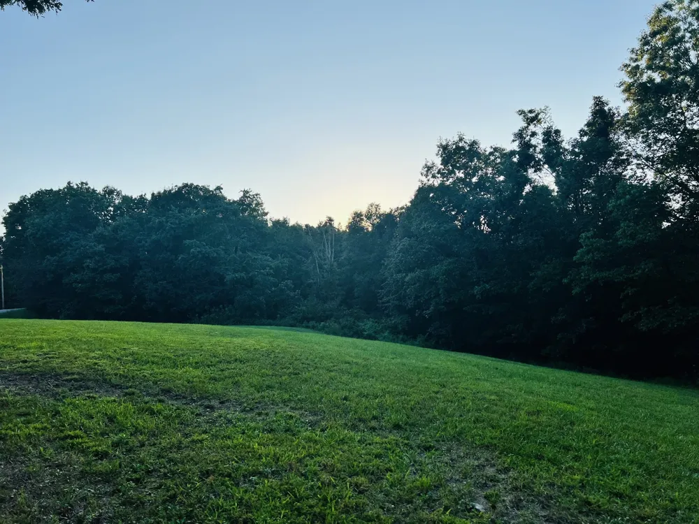 545 Deepwood Drive Waverly, TN 37185