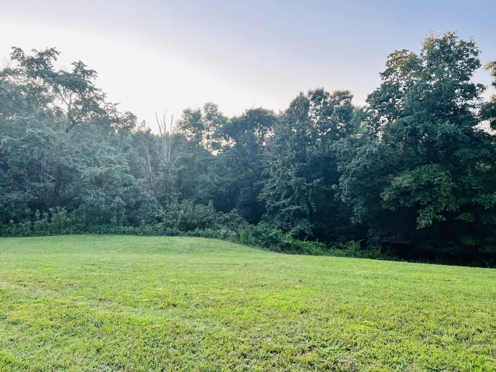 545 Deepwood Drive Waverly, TN 37185