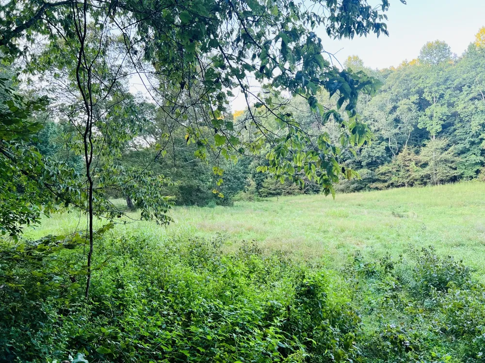 545 Deepwood Drive Waverly, TN 37185