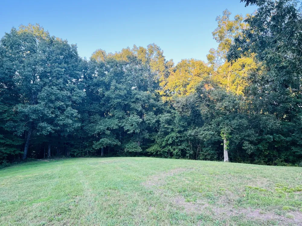 545 Deepwood Drive Waverly, TN 37185