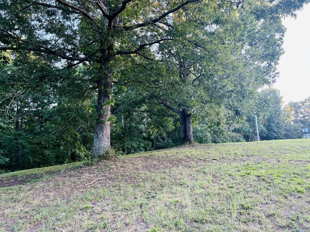 545 Deepwood Drive Waverly, TN 37185