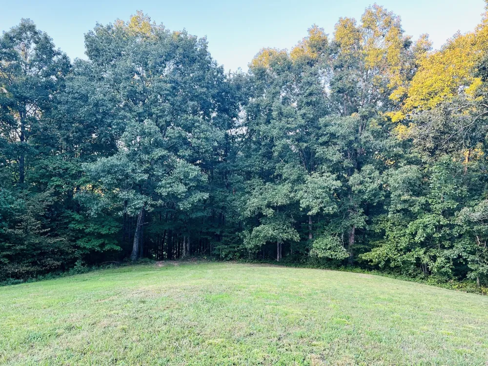 545 Deepwood Drive Waverly, TN 37185