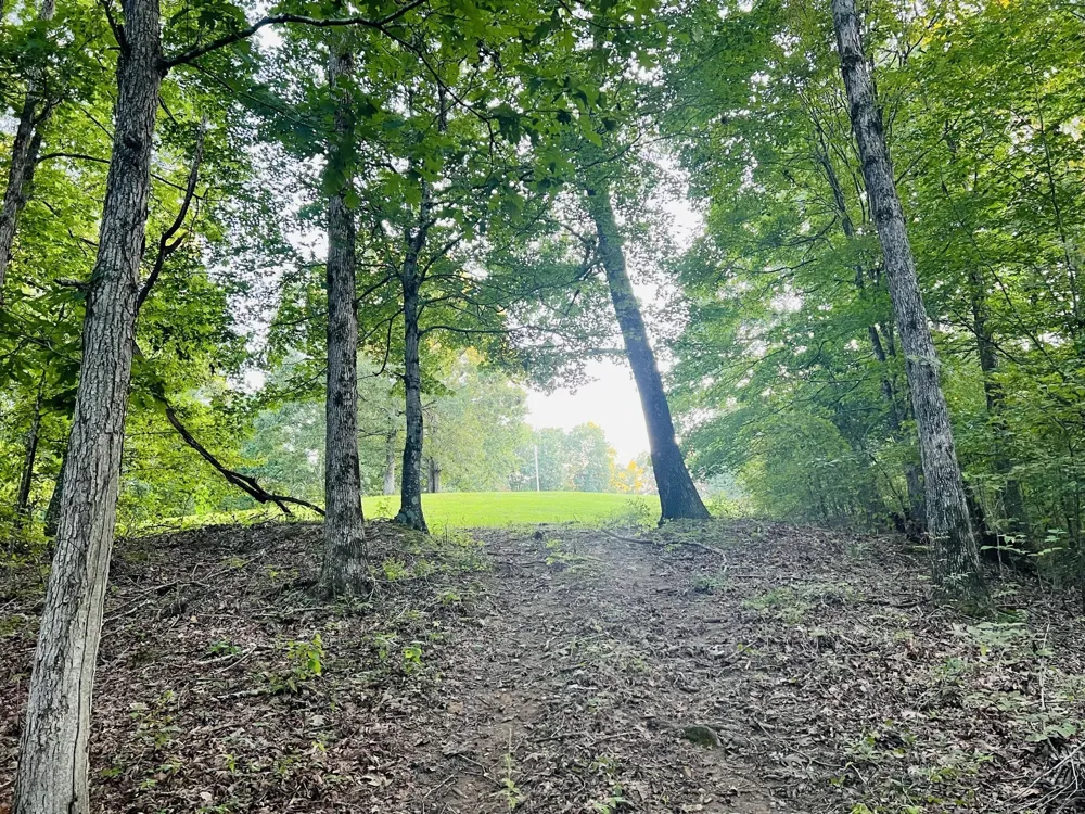 545 Deepwood Drive Waverly, TN 37185