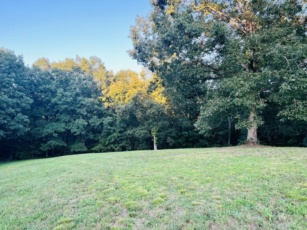 545 Deepwood Drive Waverly, TN 37185