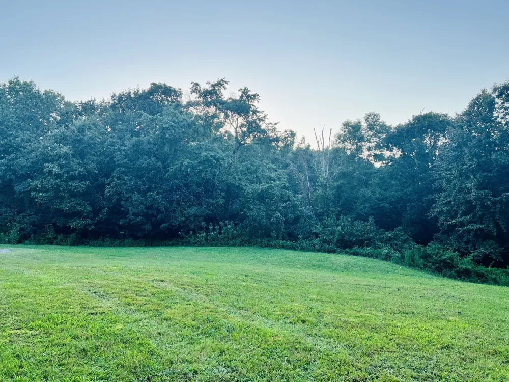 545 Deepwood Drive Waverly, TN 37185