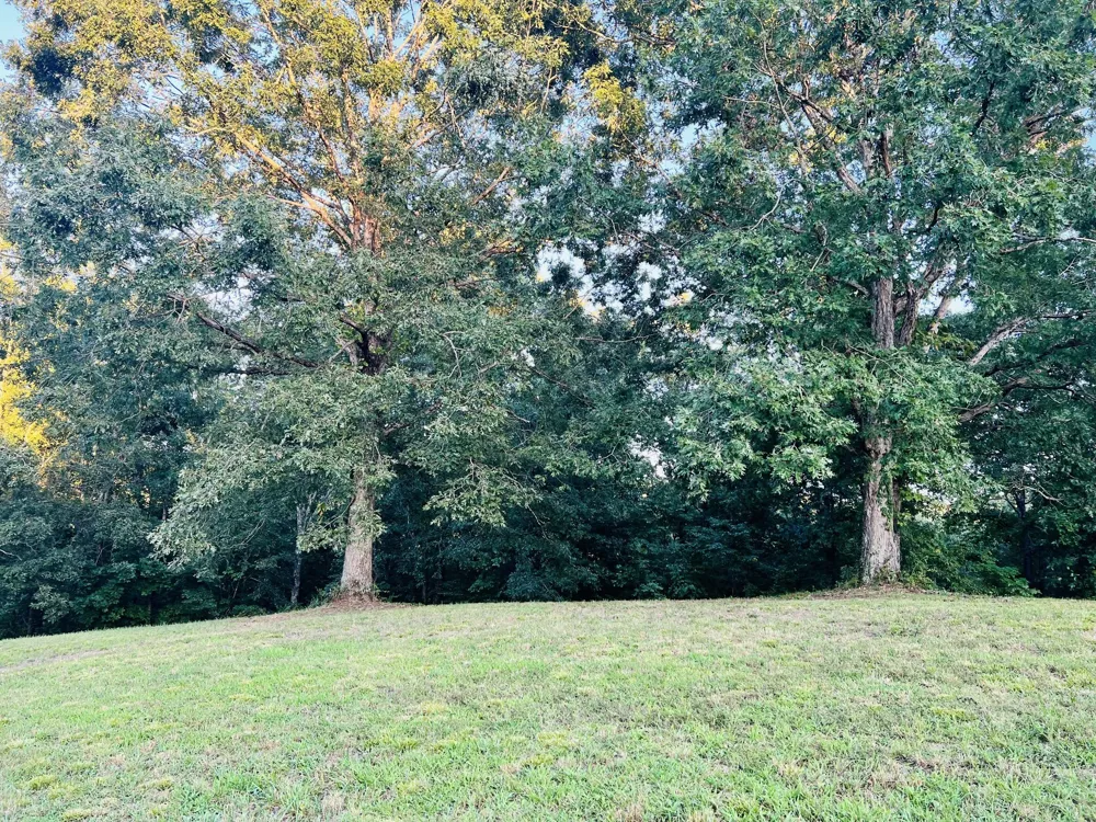 545 Deepwood Drive Waverly, TN 37185