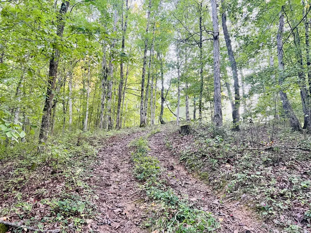 545 Deepwood Drive Waverly, TN 37185