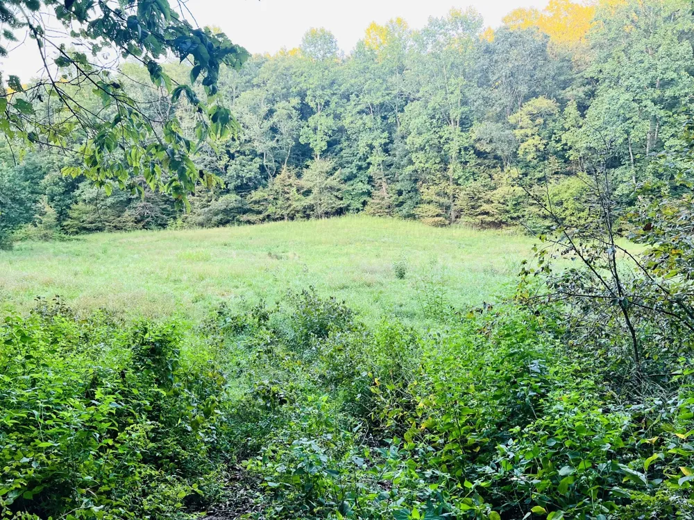 545 Deepwood Drive Waverly, TN 37185