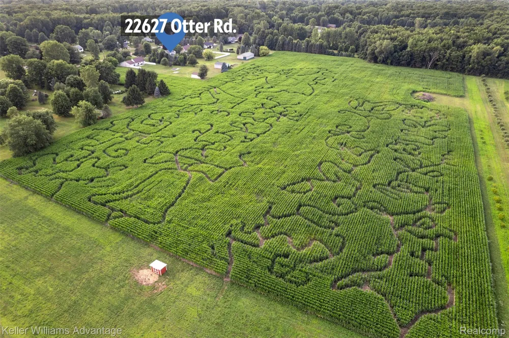 22627 Otter Road Huron Charter Township, MI 48164