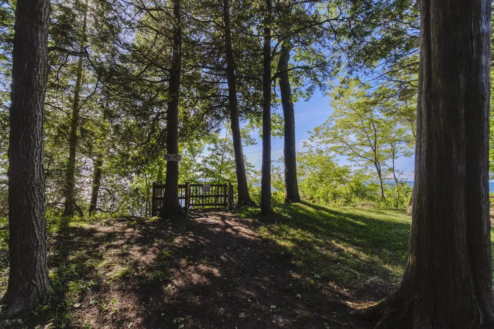 10826 Old Freesoil Road Grant Township, MI 49660