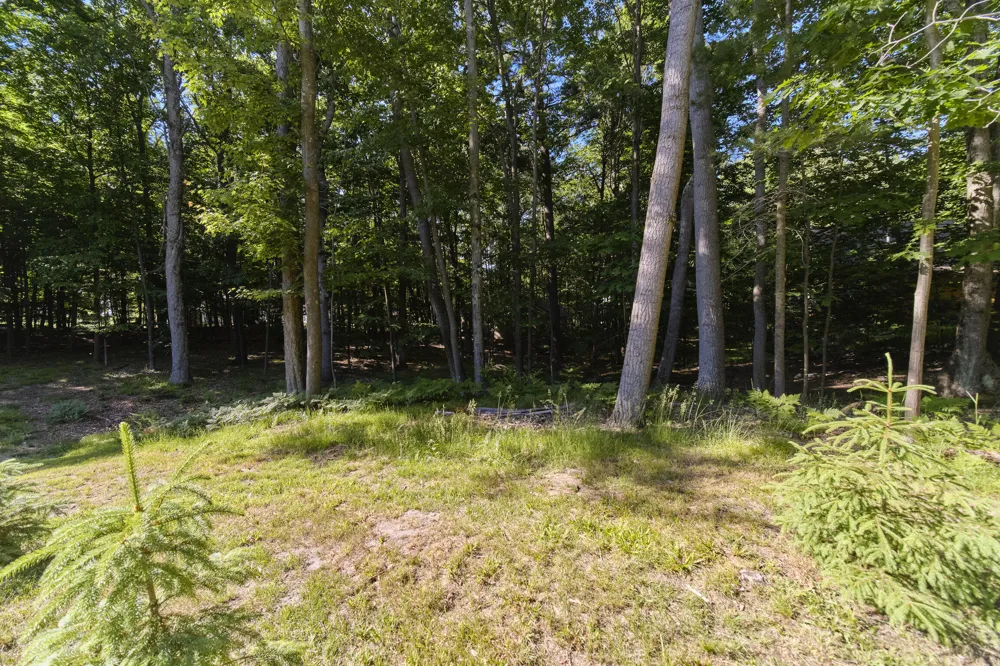 10826 Old Freesoil Road Grant Township, MI 49660