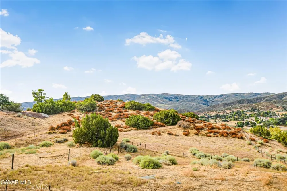 8546 Calva Street Leona Valley, CA 93551