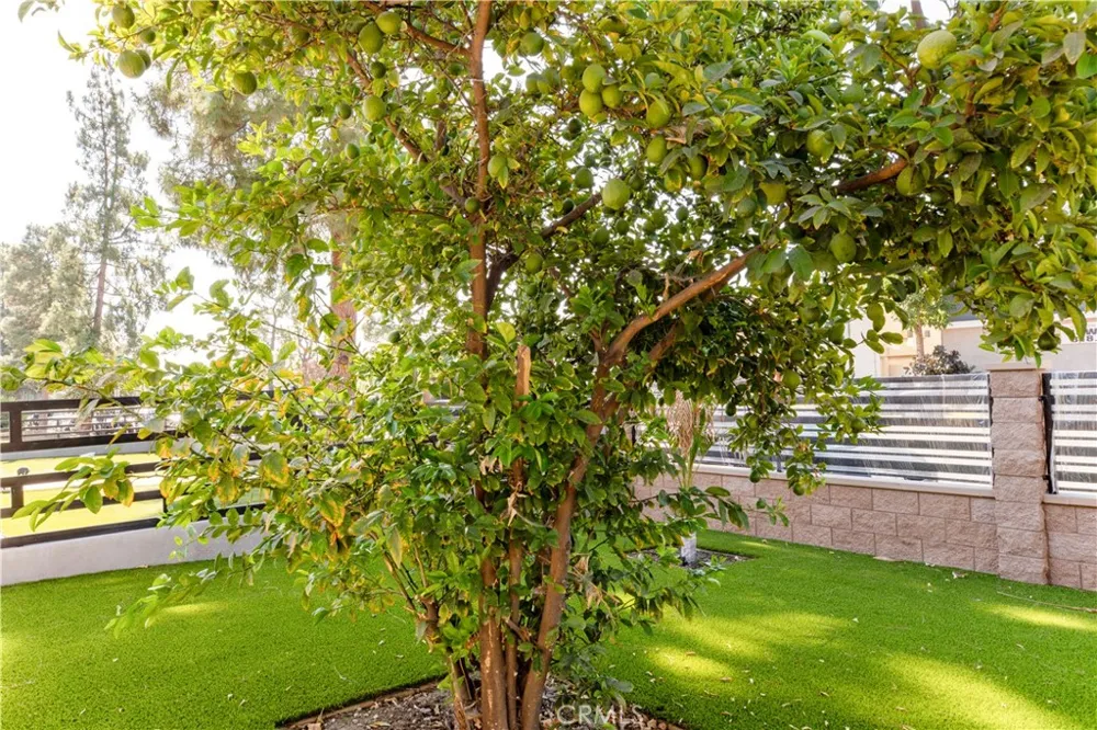 16857 Chatsworth Granada Hills, CA 91344