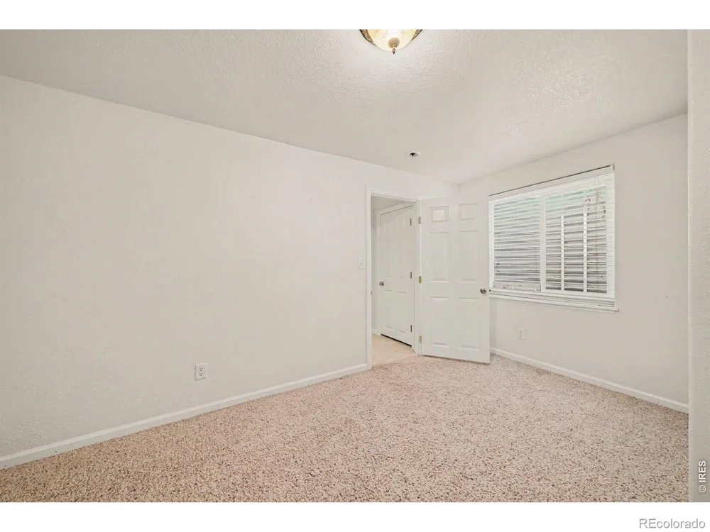 3858 Mount Oxford Street Wellington, CO 80549