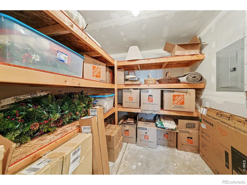 3858 Mount Oxford Street Wellington, CO 80549