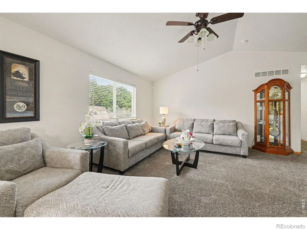 3858 Mount Oxford Street Wellington, CO 80549