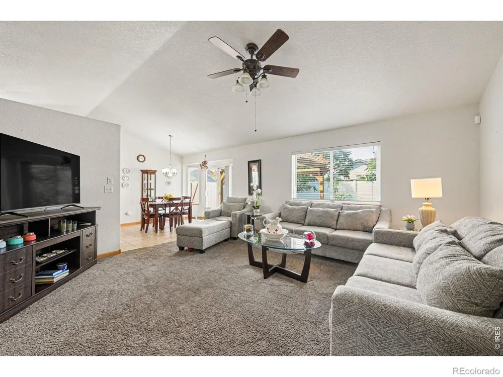 3858 Mount Oxford Street Wellington, CO 80549