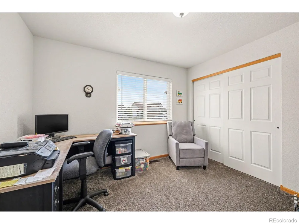 3858 Mount Oxford Street Wellington, CO 80549