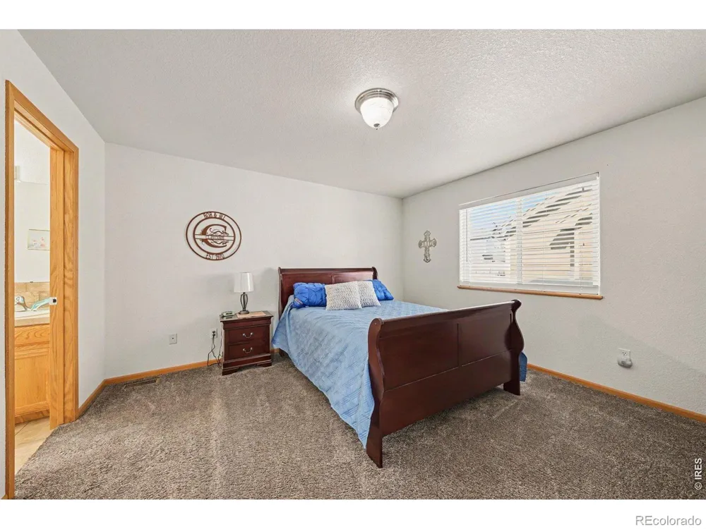 3858 Mount Oxford Street Wellington, CO 80549