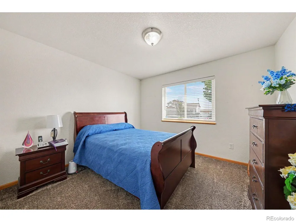 3858 Mount Oxford Street Wellington, CO 80549