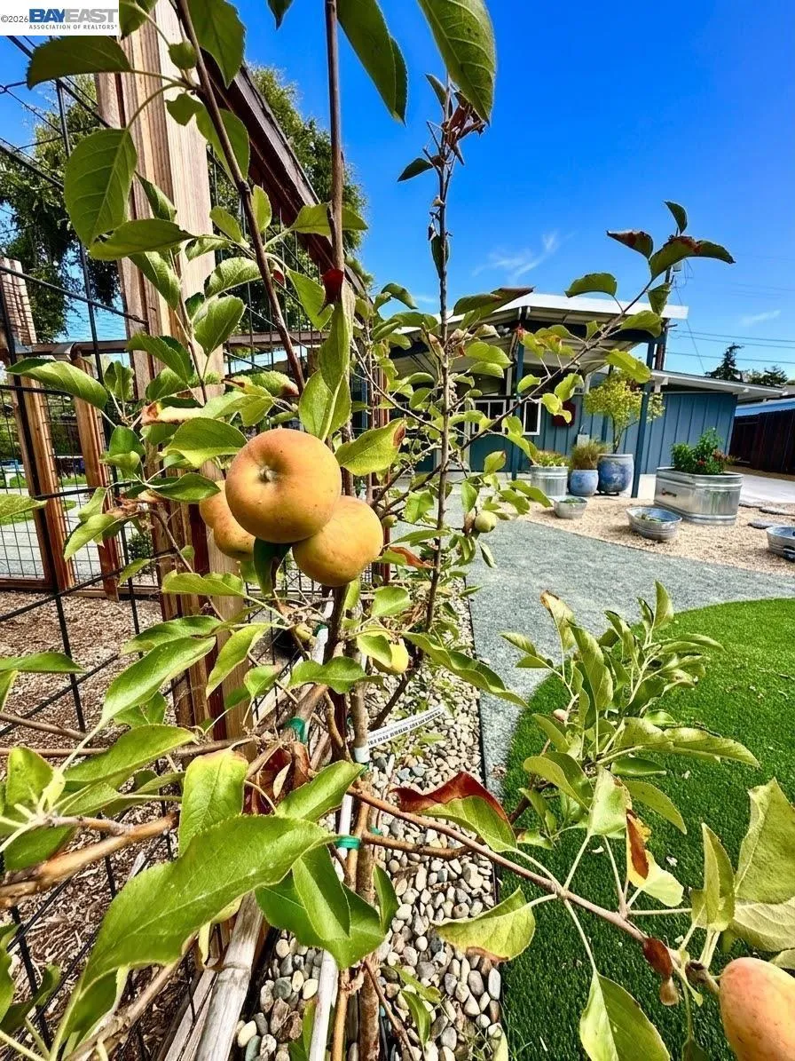 1992 Heaton Circle Concord, CA 94520