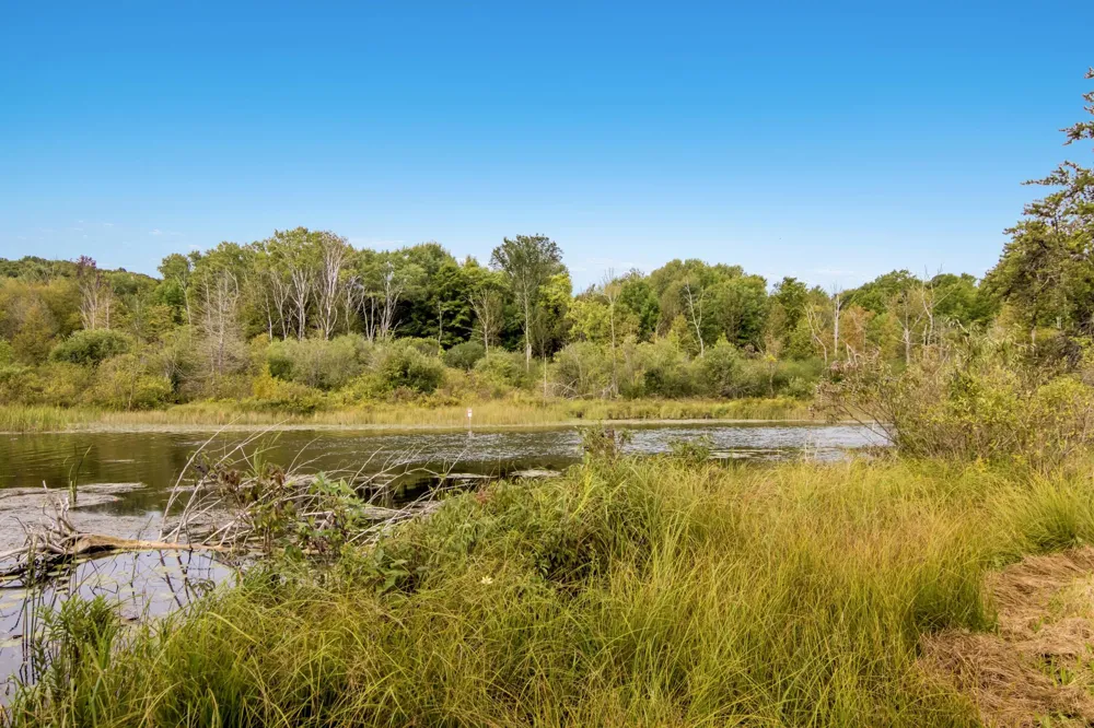 7417 Rushton Road Banks Township, MI 49729