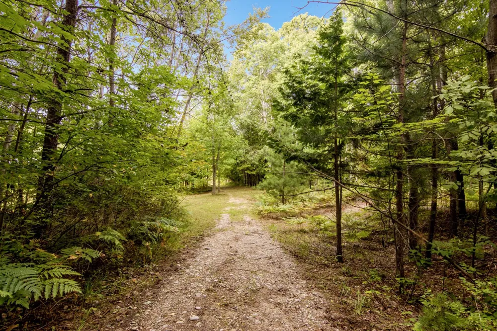 7417 Rushton Road Banks Township, MI 49729