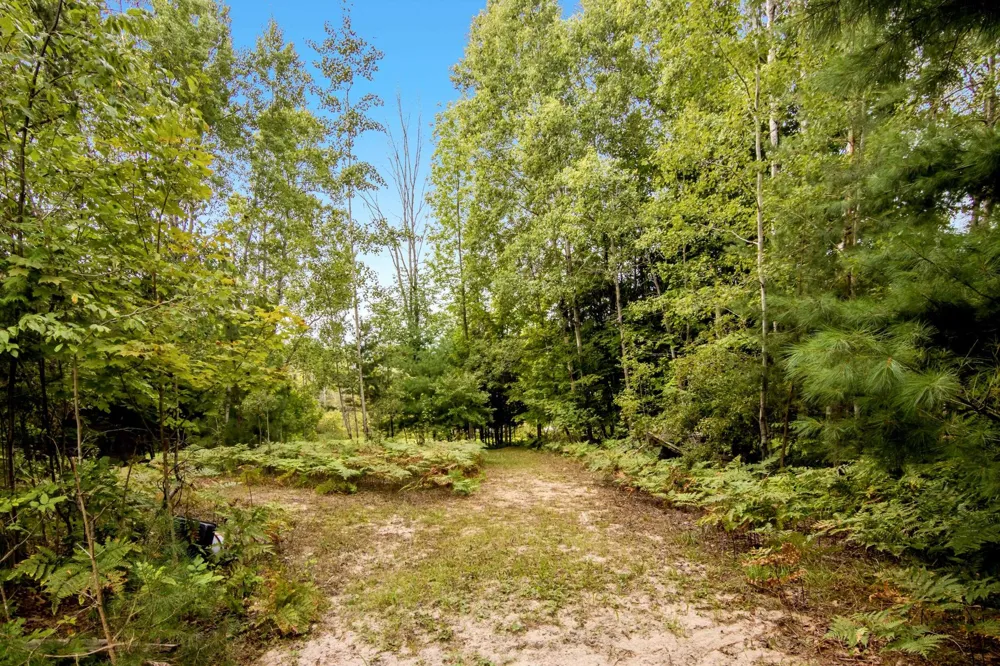 7417 Rushton Road Banks Township, MI 49729