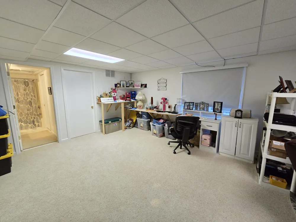1551 Samaritan Drive Jackson, MI 49203