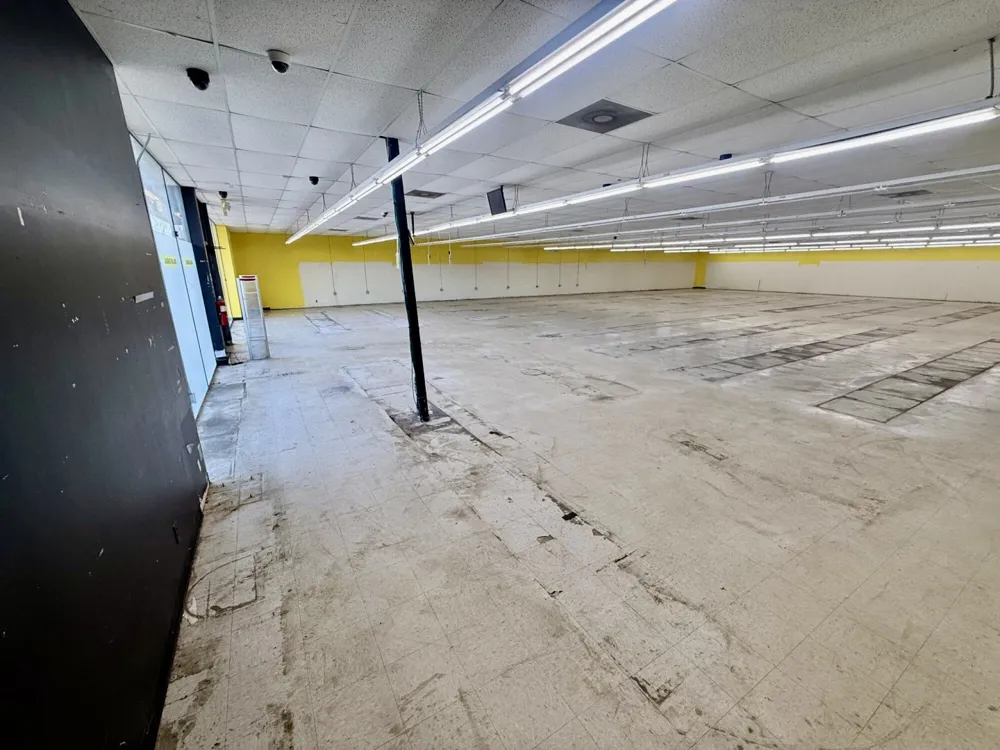 2050 US Highway 64 Whiteville, TN 38075
