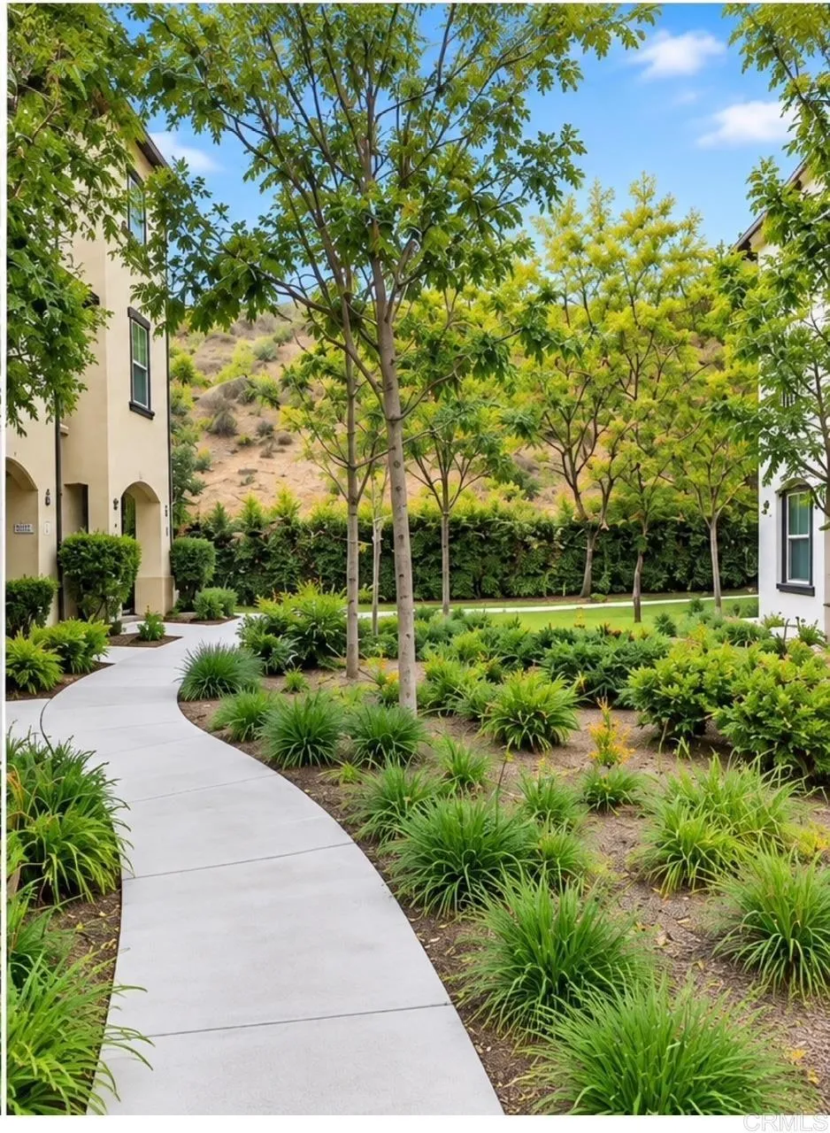 2411 Verano Vista, CA 92084